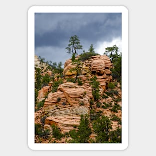 Trees and a Big Pile of Pancakes, Zion National Park Magnet